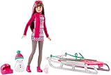 Barbie Sisters Sledding Fun