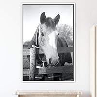 Framed Canvas Wall Art High Contrast Horse Animals Black and White Duotone Expressive Grey Horse Living Room Photography Rustic - 16x24 inches