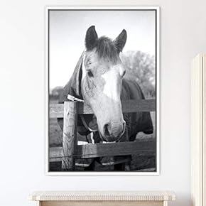 signwin Framed Canvas Wall Art High Contrast Horse...