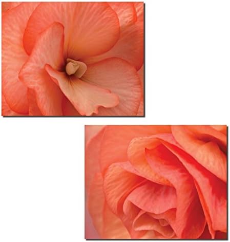 Gango Home Decor UNFRAMED Orange Coral Blooming Roses Photograph Prints; 2-14x11in Paper Posters