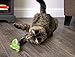 SmartyKat Cruzin' Critter Electronic Motion Cat Toy, Battery Powered - Green, One Size