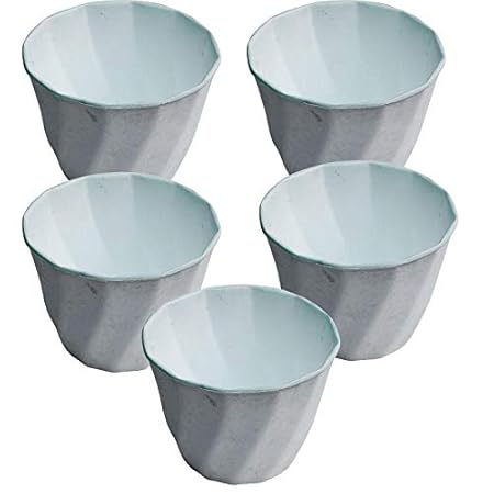 Antier Plastic Portable Gardening Plant Pots/Planters/Gamla with Attractive Color (Pack of 5, White) Eliza Pot 5 Inches