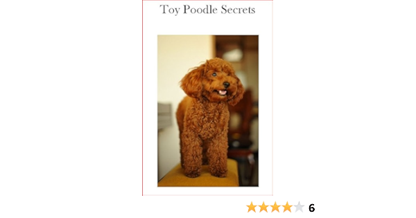 toy poodle sc