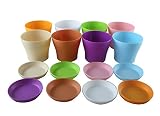 TRUEDAYS 4" Mini Plastic Flower Seedlings Nursery Pot/Planter/Flower Pot with Pallet 8 Colors,All