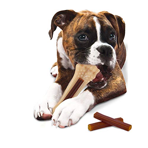 romp n chomp refills