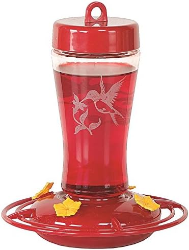 Amazon Com Homestead 12 Oz Hummingbird Feeder Etched Hardened