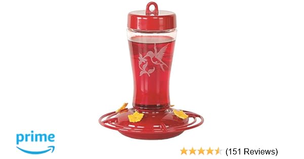 Amazon Com Homestead 12 Oz Hummingbird Feeder Etched Hardened