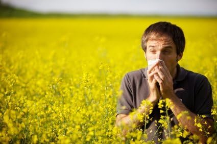 Sneezing, Coughing, Sore Eyes, If you suffer from Hay Fever, try the natural alternative: H.F. Oil- A natural hay fever treatment. 10ml by Hay Fever Oil