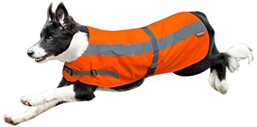 Flectalon 3 in 1 Dog Jacket, 18-Inch, Fluorescent Orange