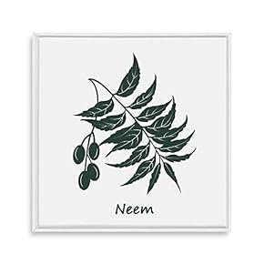 Framed Canvas Wall Art for Living Room, Bedroom Nordic Style Plants Theme Canvas Prints for Home Decoration Ready to Hang - 16x16 inches