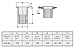 Qty. 25 Stainless Steel 304 Rivet Nut Rivnut Insert Nutsert - #1/4-20 UNC Nuts
