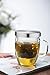 Loose Leaf Tea Infuser Cup From Infinite Tea, the Equilibrium Borosilicate Glass Mug Is a Perfect Tea Maker with Stylish Design, Easy to Use, Easy to Clean, Upgrade Your Tea Drinking Experience Now!