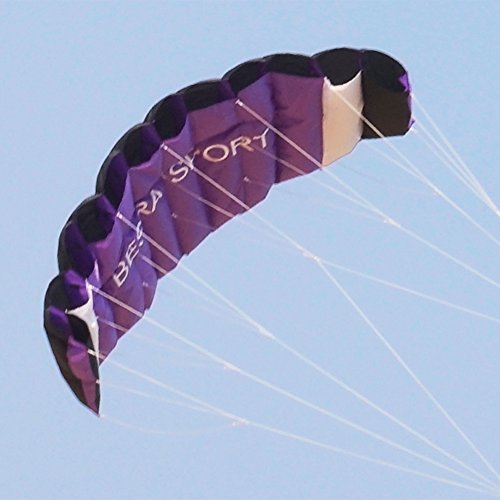 Besra New Arrival Huge 74inch Dual Line Parachute Stunt Kite with Flying Tools 1.9m Power Parafoil Kitesurfing Training kites Outdoor Fun Sports for Beach (74inch Purple)
