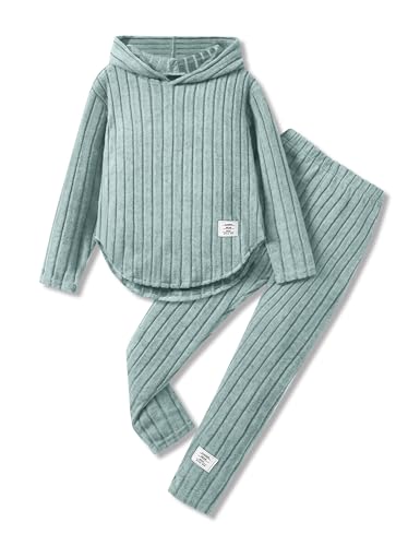 LKALPSQ Toddler Girl Fall Clothes Set Warm Sweatshirt Pants Long Sleeve Sweatsuits Winter Hooded Pullover Outfits Blue 4-5T at Amazon