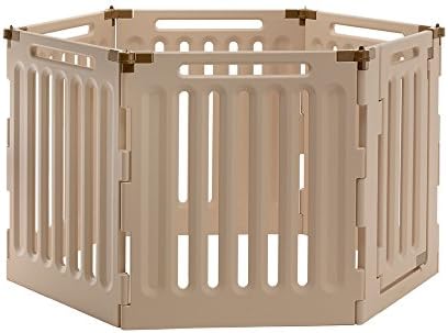 dog dermatologist near me