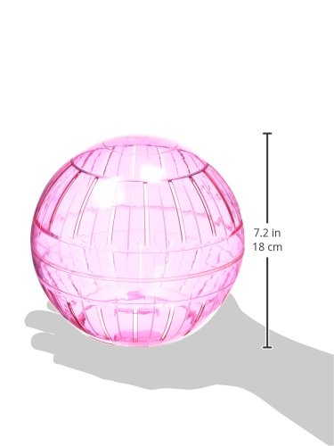 Kaytee Run-about 7" Exercise Ball, Rainbow - Assorted  Colors