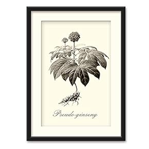 Herbs Theme Wall Art Black Framed Canvas Prints Home Decoration for Bedroom,Livingroom Ready to Hang - 23x31 inches