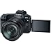 Canon EOS R Full Frame Mirrorless Camera with 3075C012 Filmmaker’s Kit RF 24-105mm F4L is USM Lens + DJI Ronin-SC 3-Axis Handheld Gimbal Stabilizer Bundle + Deco Photo Backpack Case + 64GB + Softwarethumb 3