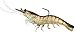 Livetarget Rigged Shrimp, Pack of 4