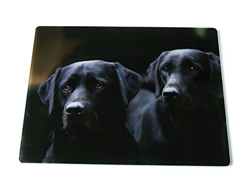 encimera labrador retriever