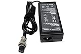 Easy&Fine 48W 24V 2A Scooter Battery Charger for Razor CC2420, Electric Scooter E100 E150 E200 E225S E300 E325S MX350 for Razor Mini Chopper Razor Pocket Rocket