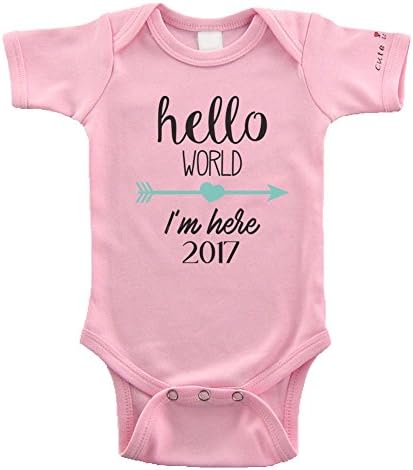 Cute in Hello World Baby Bodysuit / 2017 Baby (3-6 Months, Pink)