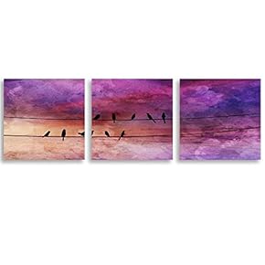 3 Piece Canvas Wall Art Brids Painting Artwork for Home Prints Framed - 12"x12"x3 Panels