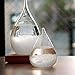Storm Glass Weather Forecaster Stylish Decorative Crystal Drop Barometer