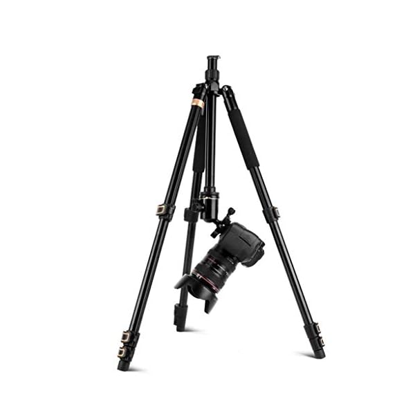 XYSQWZ Aluminium Telefonhalter Mädchen Live Broadcast Fotografie DSLR Kamera Stativ - Family Dinner Kamera Telefonhalter… – Bild 7
