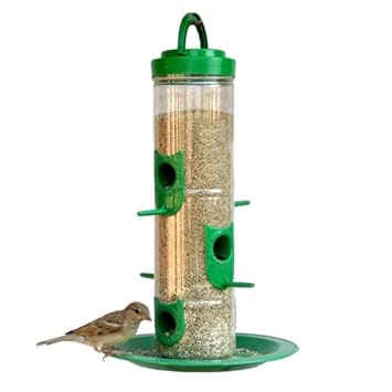 Amijivdaya Large Bird Feeder With Holding Handle Green Amazon