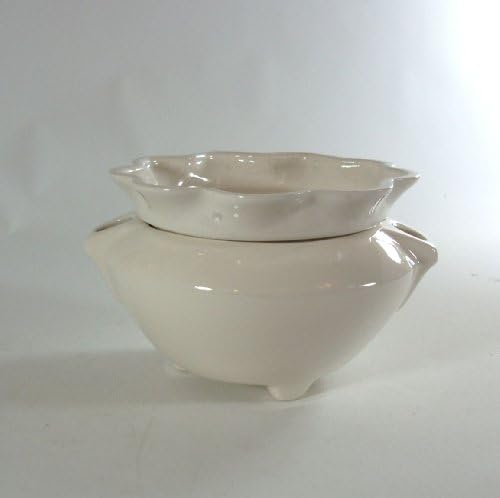 Self Watering Medium African Violet Planter White