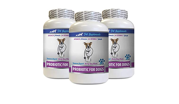 best dog food for breath