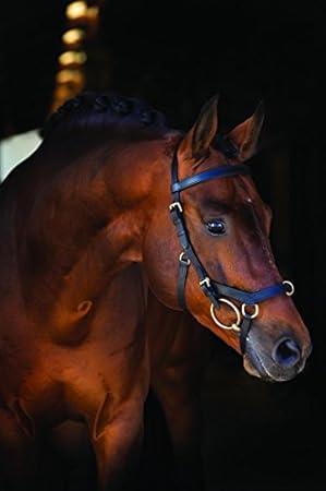 Horseware Rambo Micklem Multibridle 3 in 1 Trense schwarz wählbare Größe