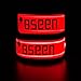 BSEEN 2 Pack LED Armbands for Running - Glow in The Dark Safety Running Gear LED Bracelet Sports Wristbands (red)