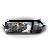 FJSLIE Lizard Beside Seaside Stone Oxford Storage