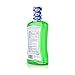 Listerine Smart Rinse Kids Alcohol-Free Fluoride Mouthwash, Mint Flavor, 500 mL (Pack of 6)