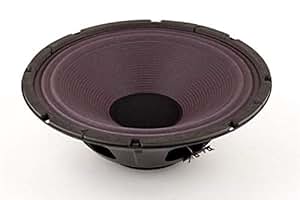 Amazon.com: Fender 12