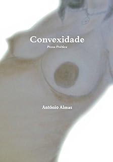 Livro Convexidade