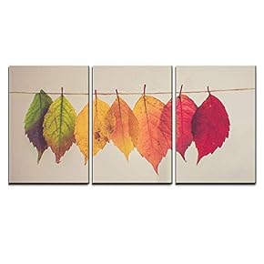 Colorful Leaves Hang on String x3 Panels