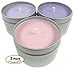 Candlecopia Evening Bath, Pink Sugar and Love Spell Strongly Scented Hand Poured Vegan Travel Tin Candles, 3 x 4 Ounce Tins