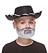Mustaches Self Adhesive Short Boxed Fake Beard for Kids, Novelty, Small False Facial Hair, Costume Accessory for Children, Gray and White Color