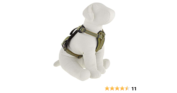 amazon kong harness
