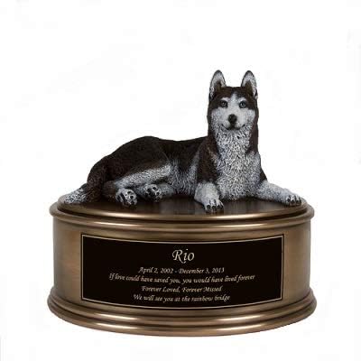 purebred poodles for adoption