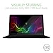 Razer Blade Stealth 13.3