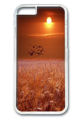 iPhone 6 Plus Case, Dayan Catcher PC Hard Plastic Case for iPhone 6 Plus 5.5 inch Transparent