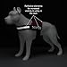Industrial Puppy Therapy Dog Vest with Hook, Loop Straps and Handle, Harnesses in Sizes from XXS to XXL, Vest Harness Features Reflective Patch and Comfortable Mesh Design, Dog Accessories, XL, Red