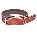 Leather Dog Collar, PYRUS Leather Double Row Nail Dog Collar Pet Collars for Medium & Large Dogs
