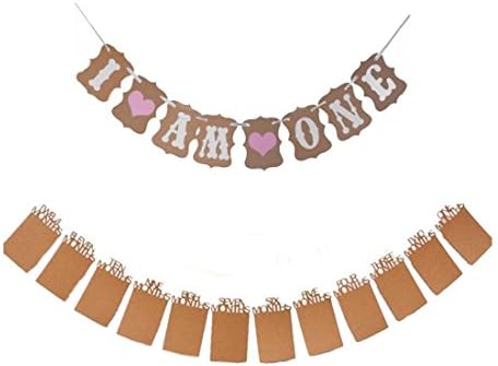 Baby Girls First Birthday Party Decorations Record 1-12 Month Photo Banner and I AM ONE Bunting