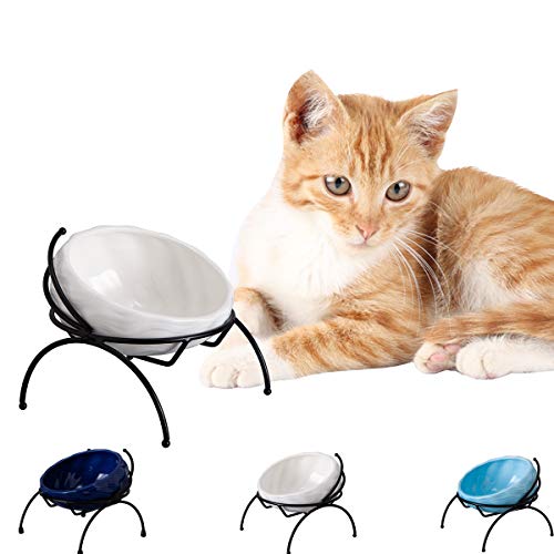 Jemirry Ceramic Elevated Cat Bowl Anti Vomiting,15° Tilted Food and