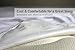 Waterproof Mattress Protector (Queen), Premium with Four Layer Protection, Super Soft, Comfortable and Breathable, Fitted, Machine Washable and Vinyl Free; 60 x 80 inches